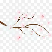 唯美樱花树枝-空若网 唯美樱花树枝-空若网