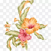 花卉设计画笔水彩画芙蓉花-空若网 花卉设计画笔水彩画芙蓉花-空若网