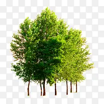 �����������Ա��زģ�-������