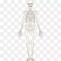 ����ϵͳ���������-������