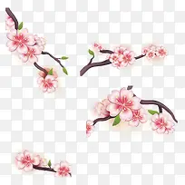 ��ͨӣ����֦-������