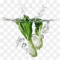 ̦ܿ�߲�-������