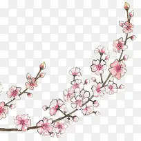 手绘粉红樱花树枝-空若网 手绘粉红樱花树枝-空若网