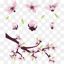 浪漫粉红樱花树枝-空若网 浪漫粉红樱花树枝-空若网