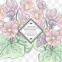 �ʻ���������-������