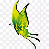 帝王蝴蝶昆虫剪贴画-蝴蝶-空若网 帝王蝴蝶昆虫剪贴画-蝴蝶-空若网