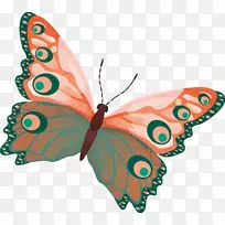 蝴蝶昆虫画彩色剪贴画-蝴蝶-空若网 蝴蝶昆虫画彩色剪贴画-蝴蝶-空若网