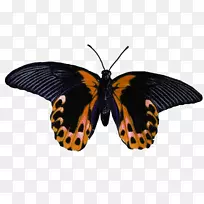 ���������������-����-������