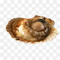 �տ��е����ͼƬ�ز�-������