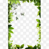 手绘绿色生机树叶边框-空若网 手绘绿色生机树叶边框-空若网