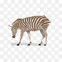 矢量可爱斑马-空若网 矢量可爱斑马-空若网