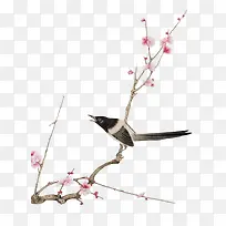 梅花树枝上的鸟儿-空若网 梅花树枝上的鸟儿-空若网