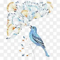 水彩花鸟-空若网 水彩花鸟-空若网