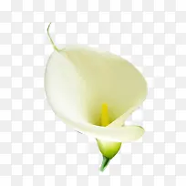 ��������ɫ������װ��-������