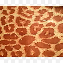 橙色豹纹背景-空若网 橙色豹纹背景-空若网