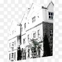 ��ɫ�����Ա�����-������