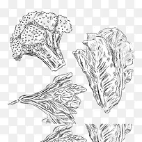 ÊÖ»æÏ߸åÊß²Ë-¿ÕÈôÍø ÊÖ»æÏ߸åÊß²Ë-¿ÕÈôÍø