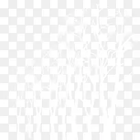 白色树枝婚礼装扮-空若网 白色树枝婚礼装扮-空若网