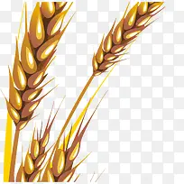 手绘小麦-空若网 手绘小麦-空若网