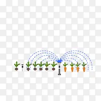 ʸ����ɫ����߲�չʾ-������