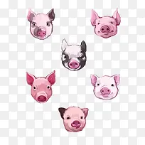 矢量各种品种的猪头-空若网 矢量各种品种的猪头-空若网