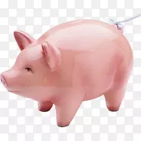 ���մɼ�������-��-������