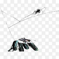 ֲ���ϵ�����-������