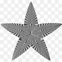 海星剪贴画-5星-空若网 海星剪贴画-5星-空若网