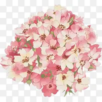 粉色花球婚纱摄影素材-空若网 粉色花球婚纱摄影素材-空若网