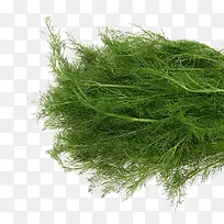 ��ɫ����-������