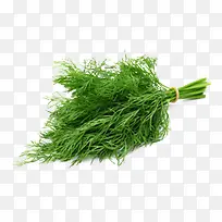 绿色茴香调味食物-空若网 绿色茴香调味食物-空若网