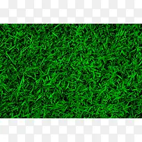 绿色野草地背景-空若网 绿色野草地背景-空若网