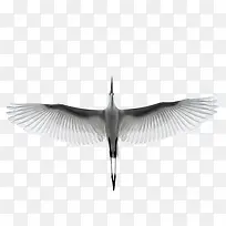 ����İ���-������