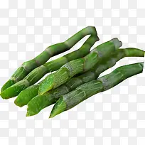 摄影绿色植物产品效果呢-空若网 摄影绿色植物产品效果呢-空若网