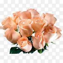 ��ɫõ�廨��-������