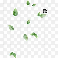 树叶漂浮-空若网 树叶漂浮-空若网