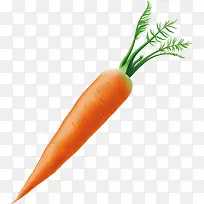 带叶子的红萝卜元素-空若网 带叶子的红萝卜元素-空若网