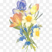 手绘彩色花朵花蕊-空若网 手绘彩色花朵花蕊-空若网