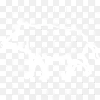 电子邮件联合国大学计算机与社会商业计算机软件公司-公猪-空若网 电子邮件联合国大学计算机与社会商业计算机软件公司-公猪-空若网