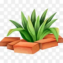 小草与砖头-空若网 小草与砖头-空若网