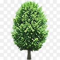 绿树远景设计树木-空若网 绿树远景设计树木-空若网