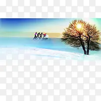 梦幻冬季阳光大树-空若网 梦幻冬季阳光大树-空若网
