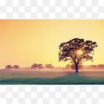 ��ɫ����������-������