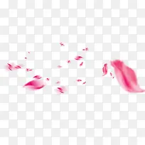 桃花花瓣背景素材-空若网 桃花花瓣背景素材-空若网