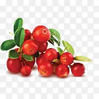 高清熊果苷实物产品-空若网 高清熊果苷实物产品-空若网