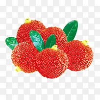 杨梅素材-空若网 杨梅素材-空若网