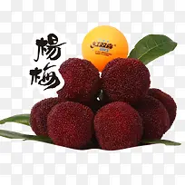 杨梅食物素材-空若网 杨梅食物素材-空若网