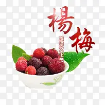 杨梅素材-空若网 杨梅素材-空若网