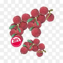 杨梅素材-空若网 杨梅素材-空若网