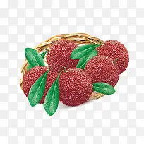 杨梅素材-空若网 杨梅素材-空若网